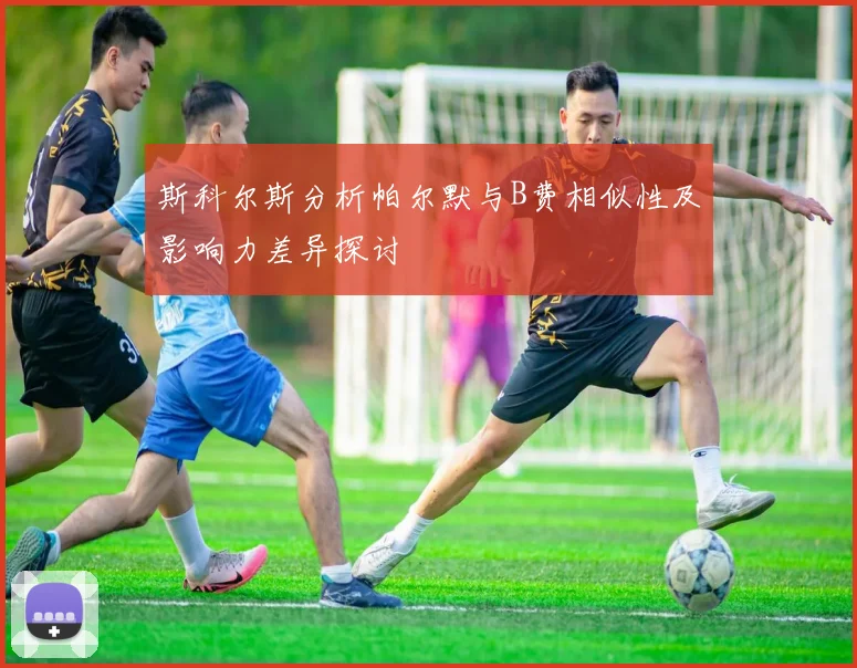 斯科尔斯分析帕尔默与B费相似性及影响力差异探讨