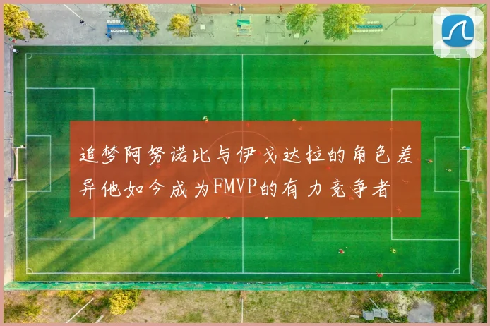 追梦阿努诺比与伊戈达拉的角色差异他如今成为FMVP的有力竞争者