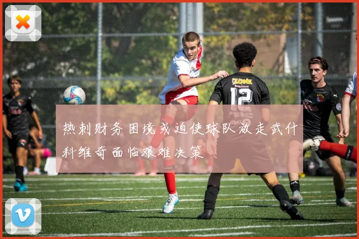 热刺财务困境或迫使球队放走武什科维奇面临艰难决策