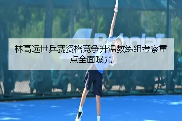 林高远世乒赛资格竞争升温教练组考察重点全面曝光